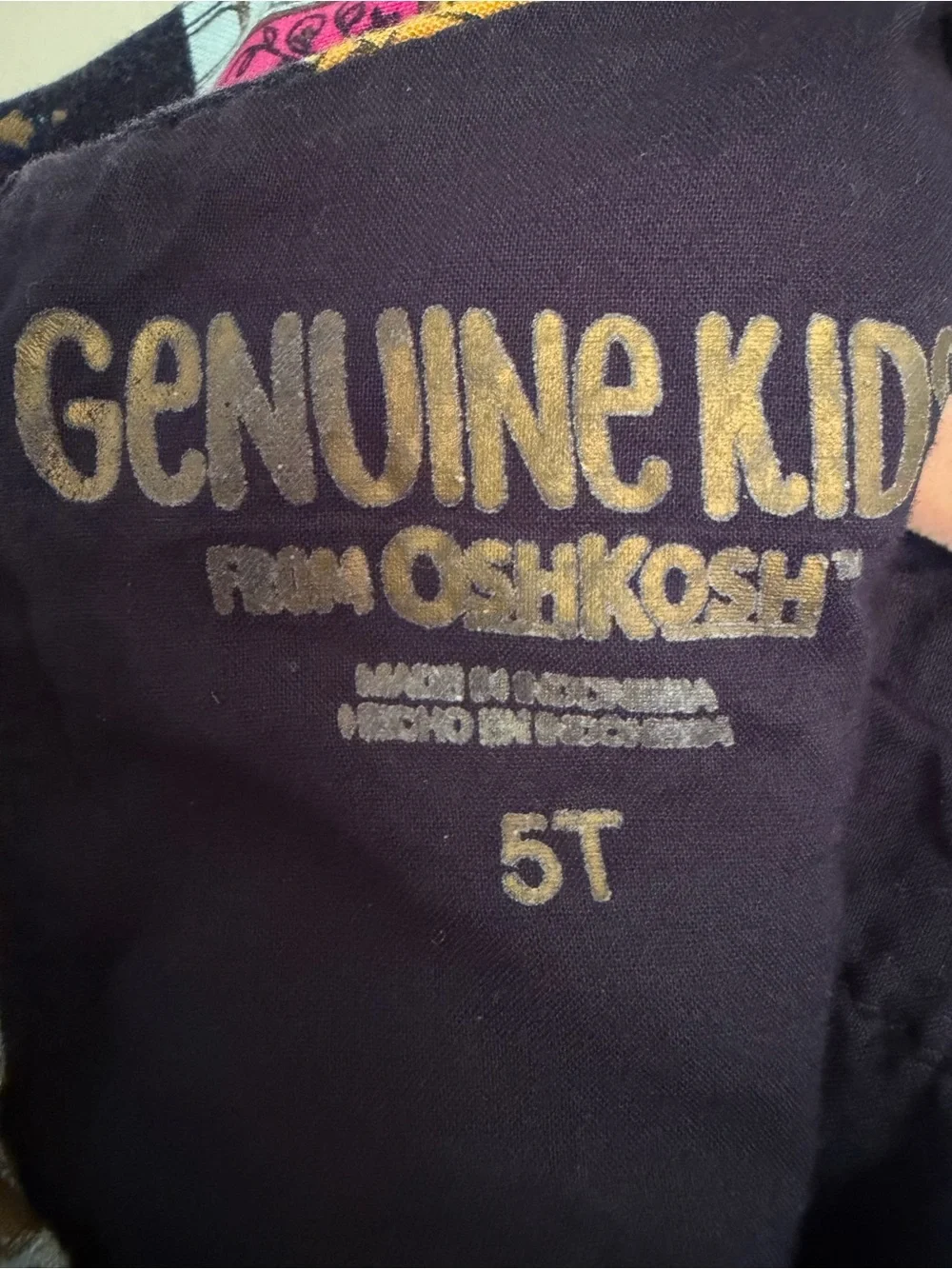 OshKosh B'gosh India Palace Print Dress 5T